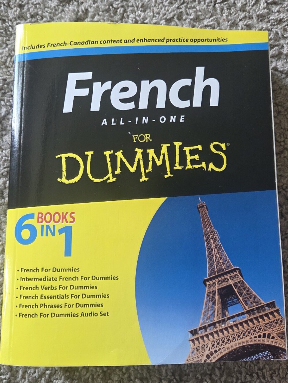 French All-In-One For Dummies With Disk